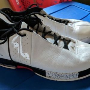 Nike Air Jordan Team Elite II Low White 2008 RARE